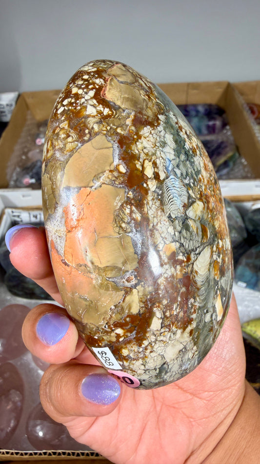 Gorgeous Ibis Jasper Freeform | Opt 20