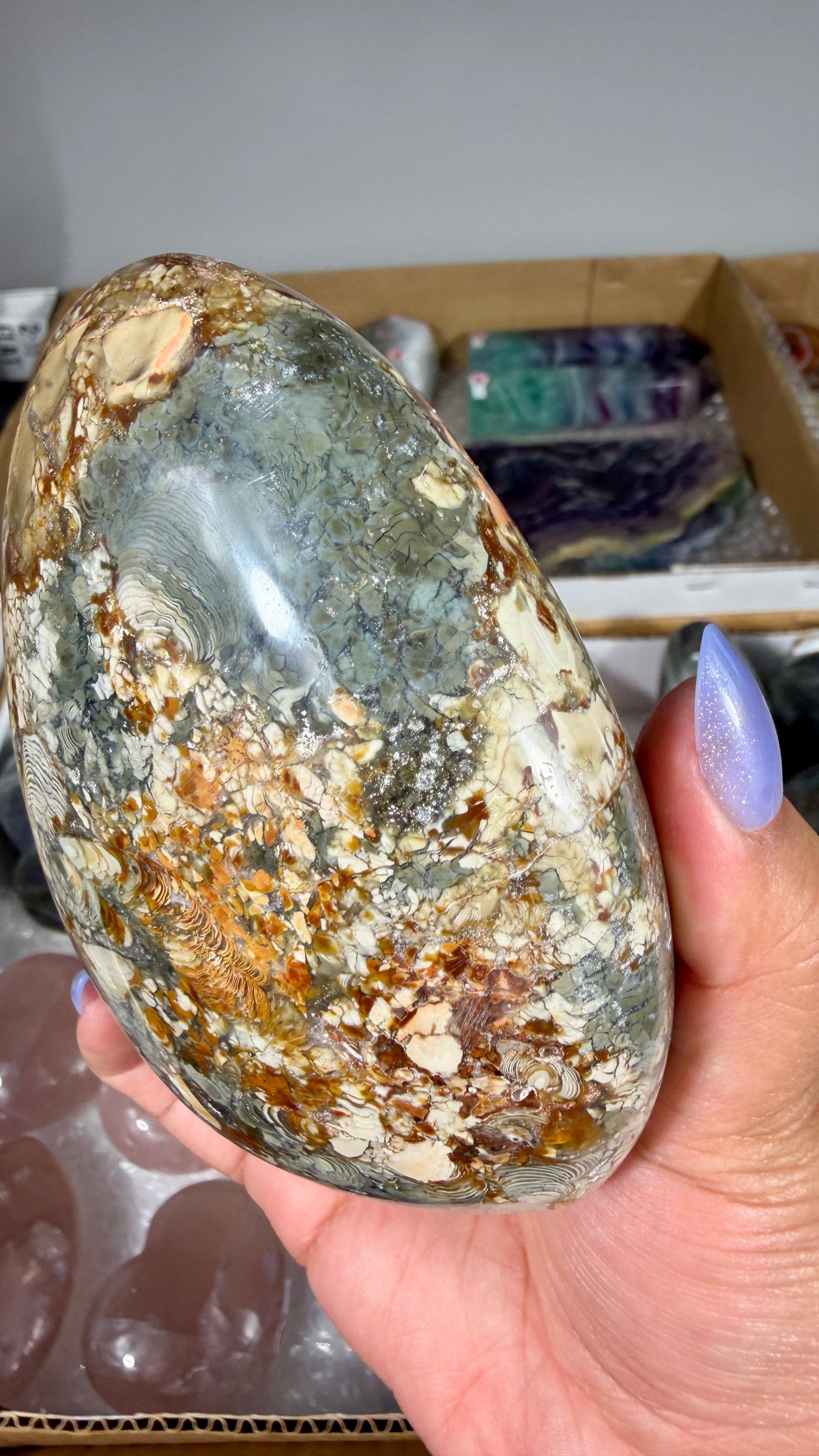 Gorgeous Ibis Jasper Freeform | Opt 20