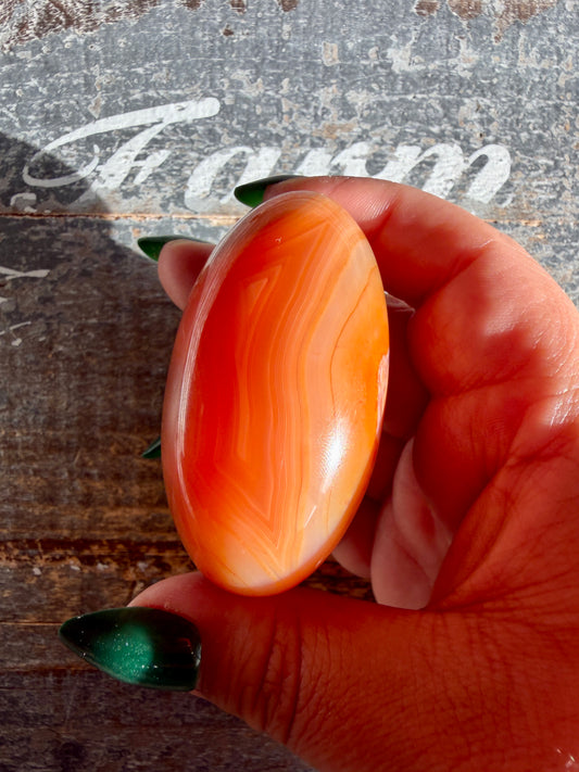 Gorgeous Carnelian Lingam | Opt O