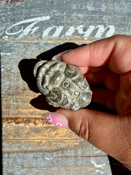 Gorgeous Pyrite Money Toad | Money Manifestation | Opt B