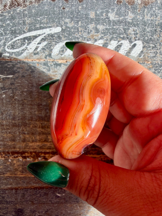 Gorgeous Carnelian Lingam | Opt B