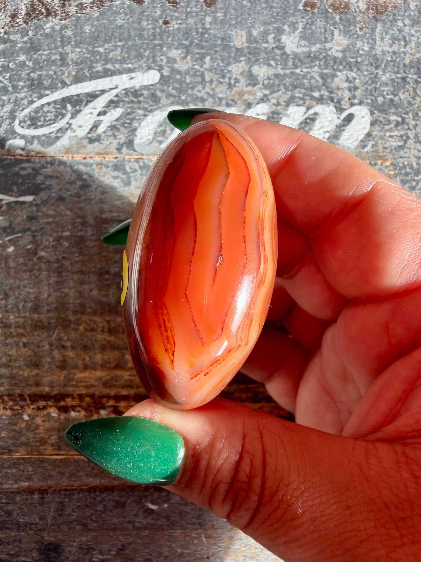 Gorgeous Carnelian Lingam | Opt B