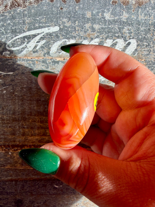 Gorgeous Carnelian Lingam | Opt E