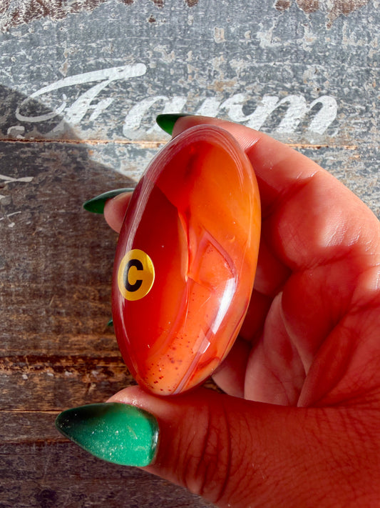 Gorgeous Carnelian Lingam | Opt C