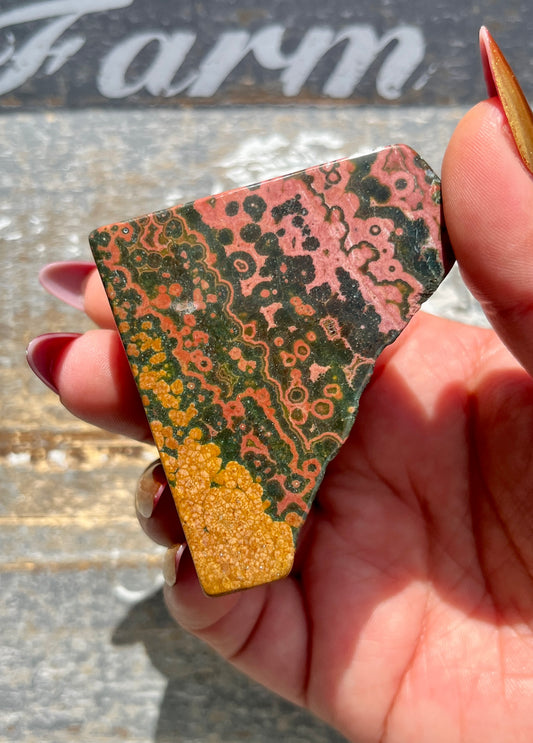 Gorgeous Rare Kabamby Authentic Ocean Jasper Freeform from Madagascar