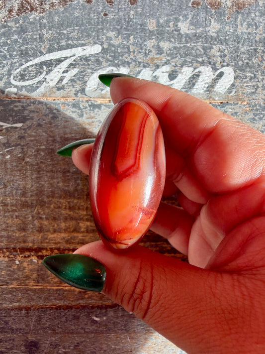 Gorgeous Carnelian Lingam | Opt H