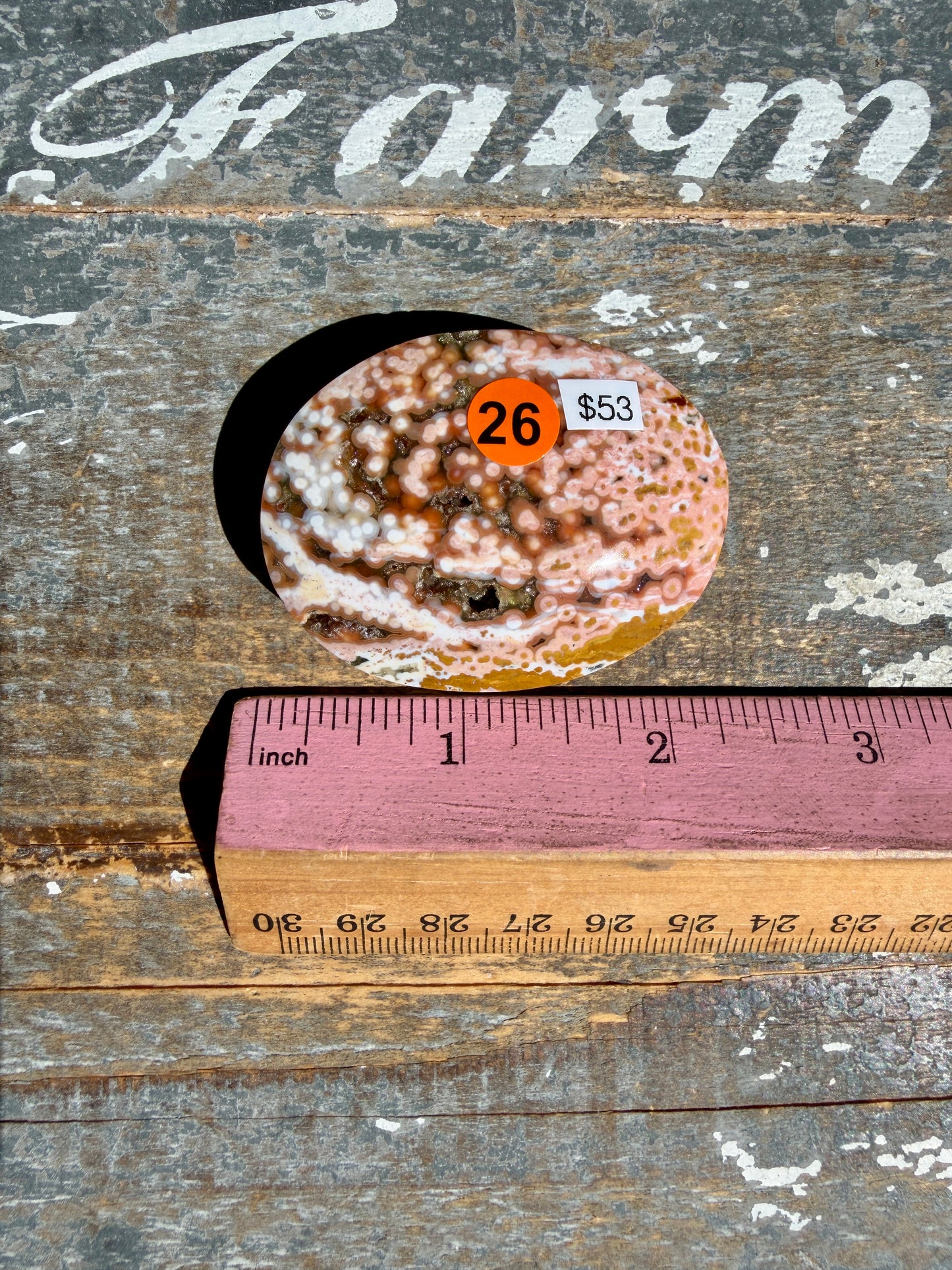 Gorgeous Authentic Ocean Jasper Palm Stone | Opt 26