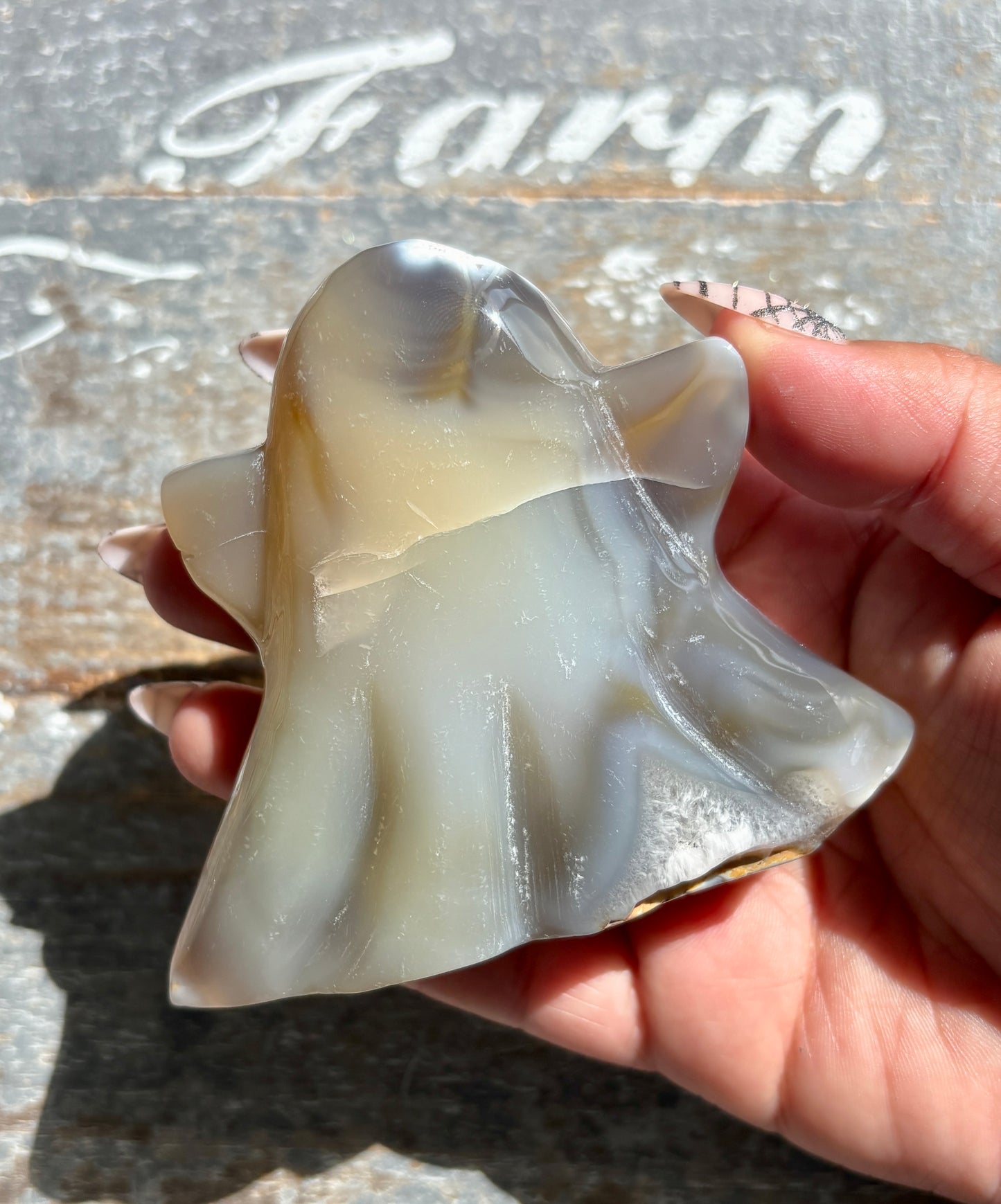 Gorgeous Orca Agate Ghost | Opt D