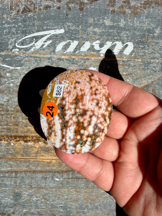Gorgeous Authentic Ocean Jasper Palm Stone | Opt 24