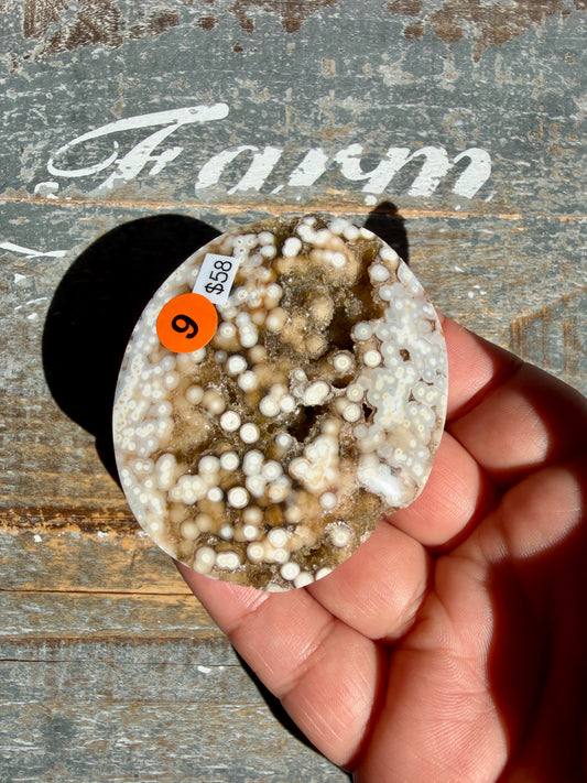 Gorgeous Authentic Ocean Jasper Palm Stone | Opt 9