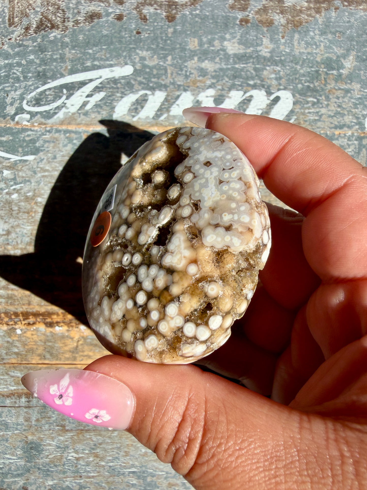 Gorgeous Authentic Ocean Jasper Palm Stone | Opt 9