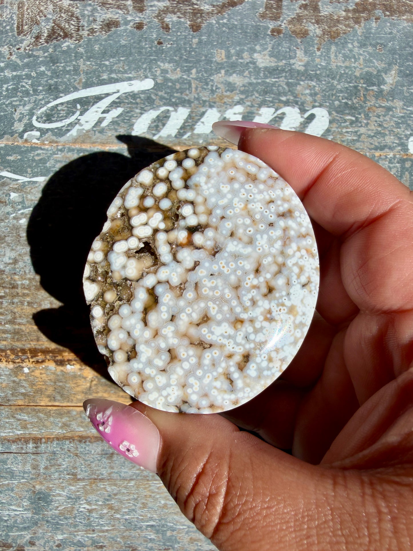 Gorgeous Authentic Ocean Jasper Palm Stone | Opt 9
