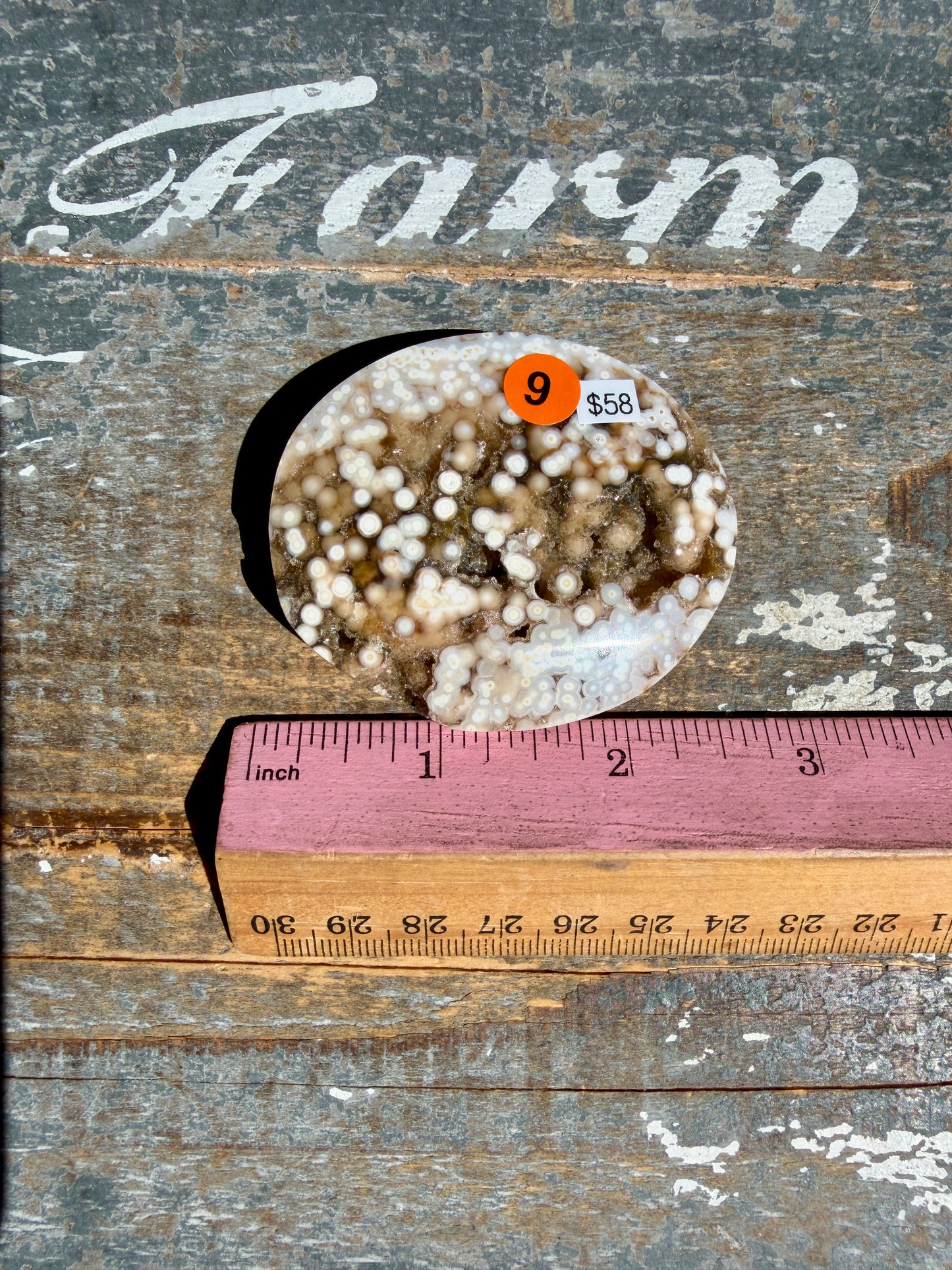 Gorgeous Authentic Ocean Jasper Palm Stone | Opt 9
