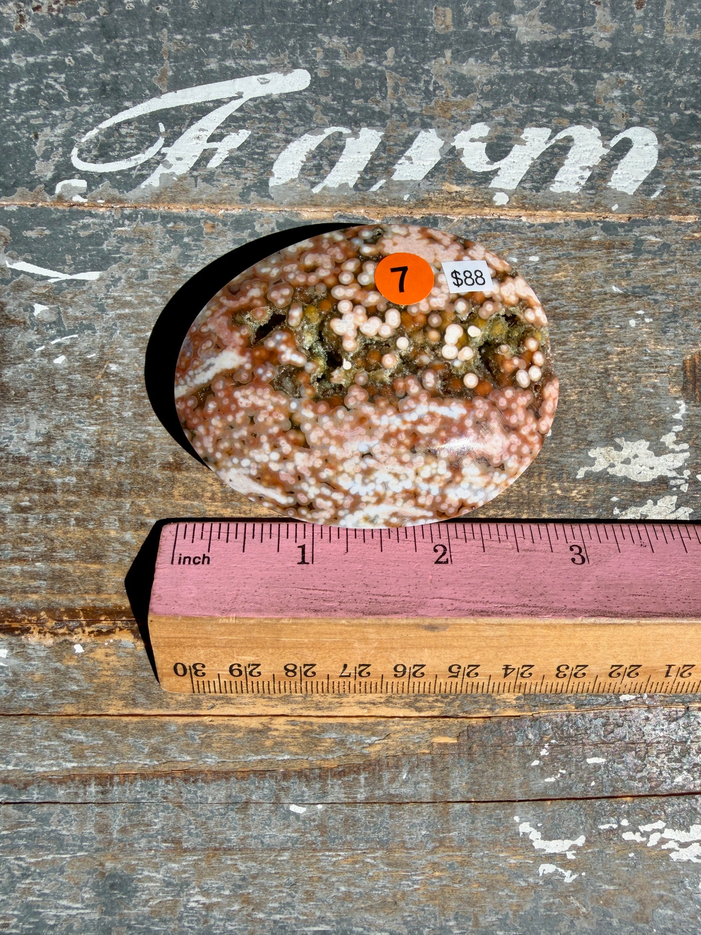 Gorgeous Authentic Ocean Jasper Palm Stone | Opt 7