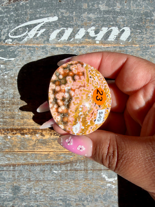 Gorgeous Authentic Ocean Jasper Palm Stone | Opt 23