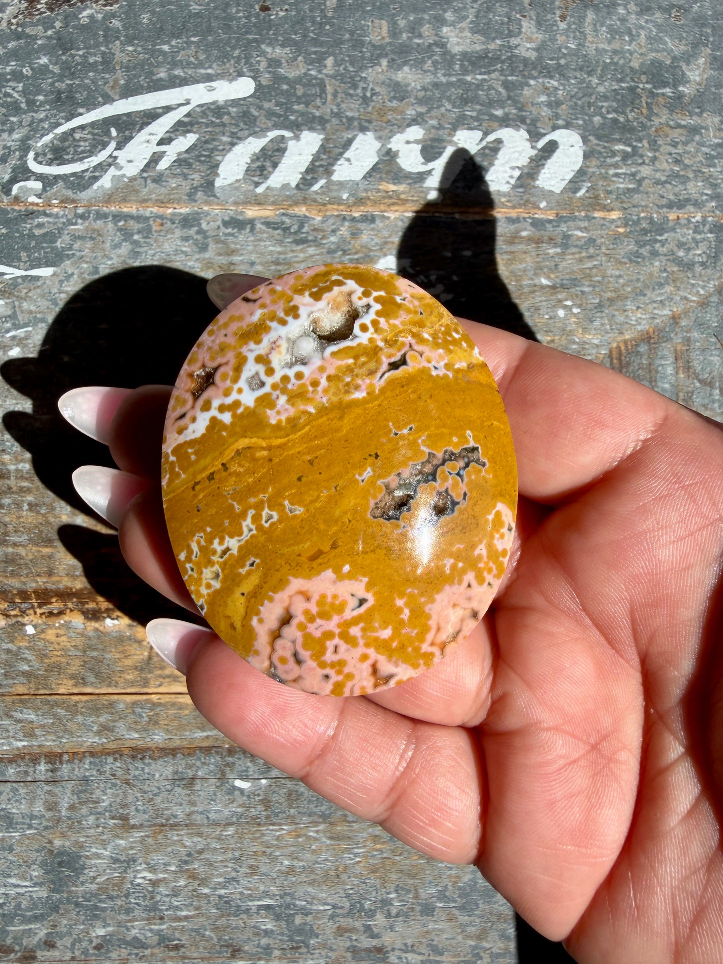 Gorgeous Authentic Ocean Jasper Palm Stone | Opt 20