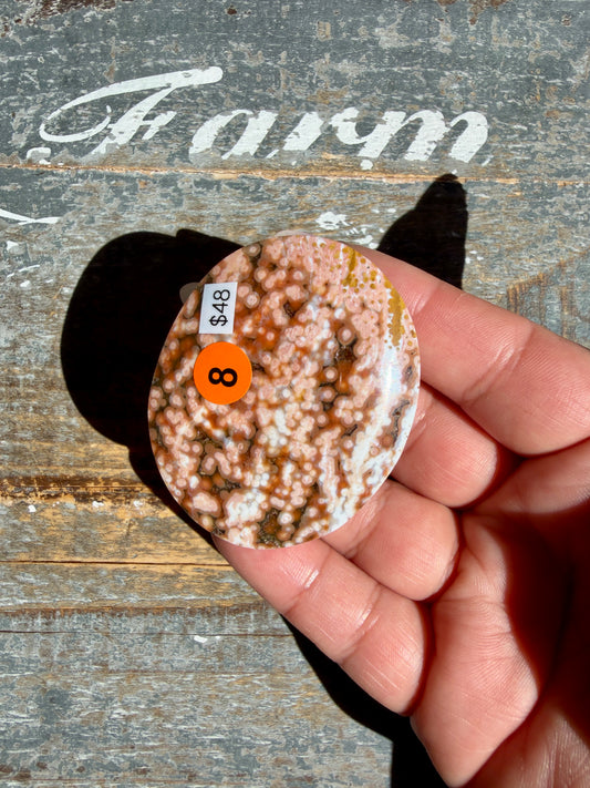 Gorgeous Authentic Ocean Jasper Palm Stone | Opt 8