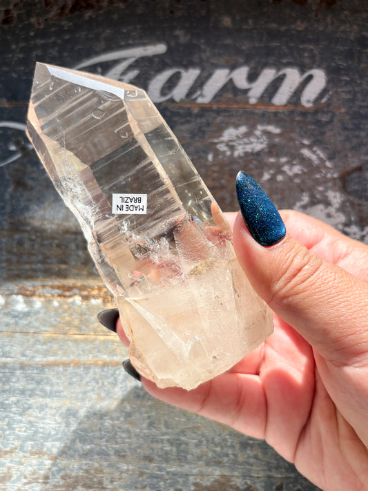 Gorgeous High Quality Lemurian on Custom Stand from Brazil