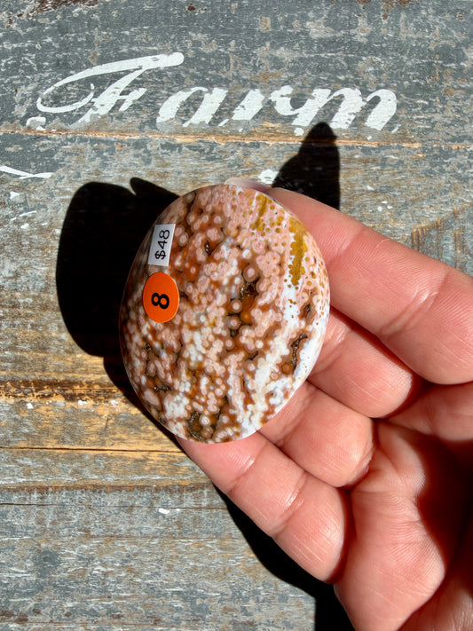 Gorgeous Authentic Ocean Jasper Palm Stone | Opt 8
