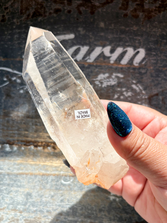 Gorgeous High Quality Lemurian on Custom Stand from Brazil