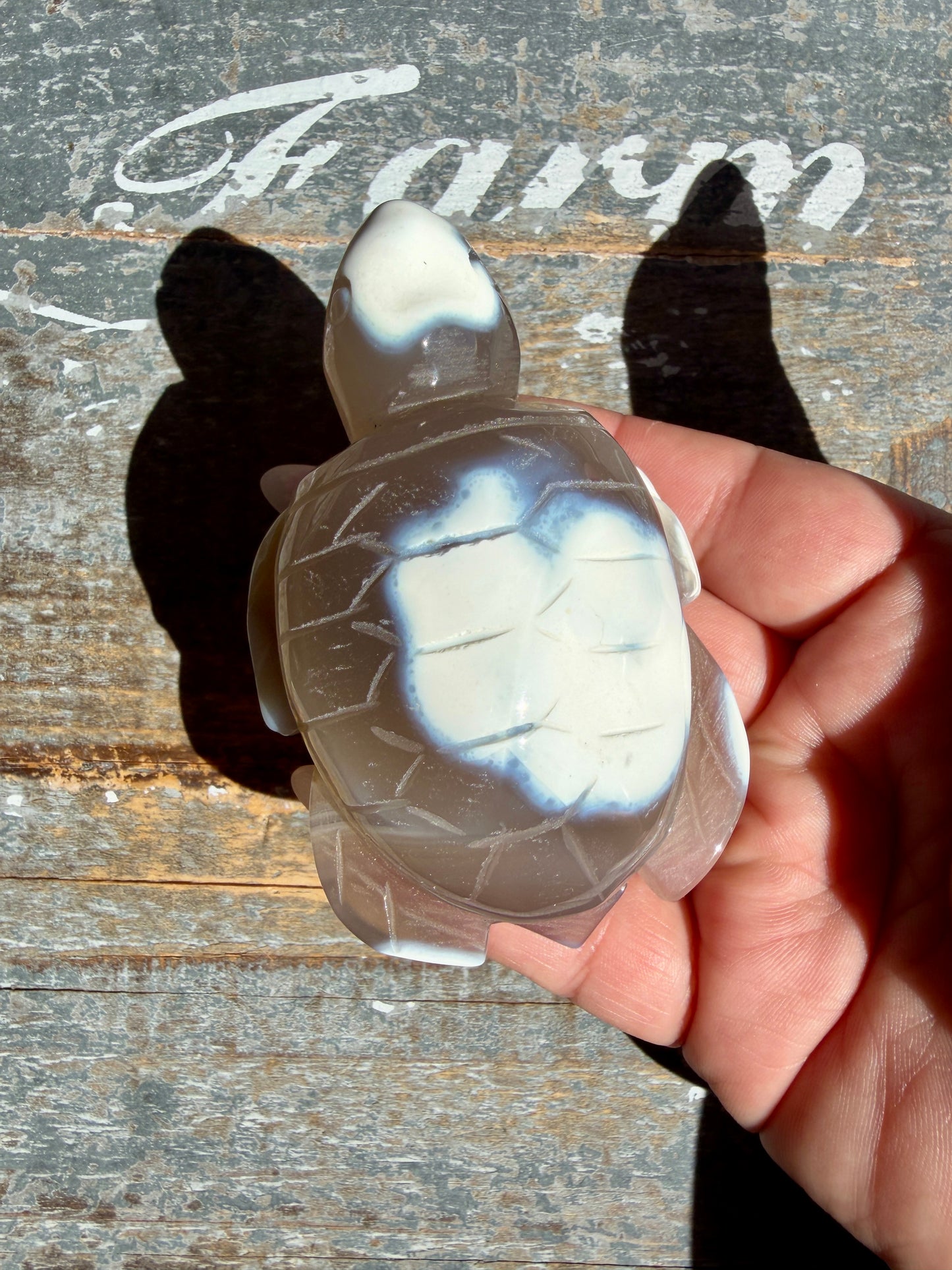 Gorgeous Orca Agate Turtle | Opt V