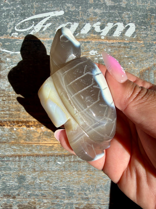 Gorgeous Orca Agate Turtle | Opt V