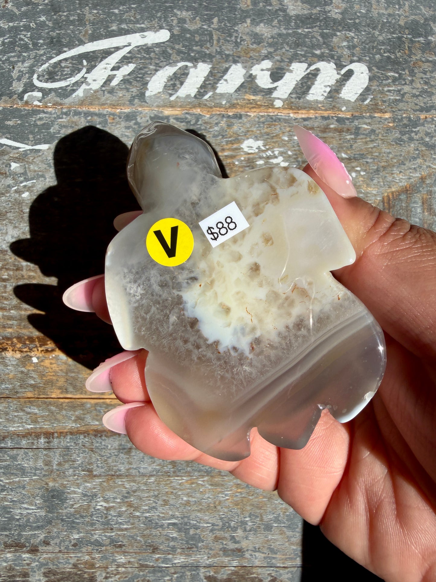 Gorgeous Orca Agate Turtle | Opt V