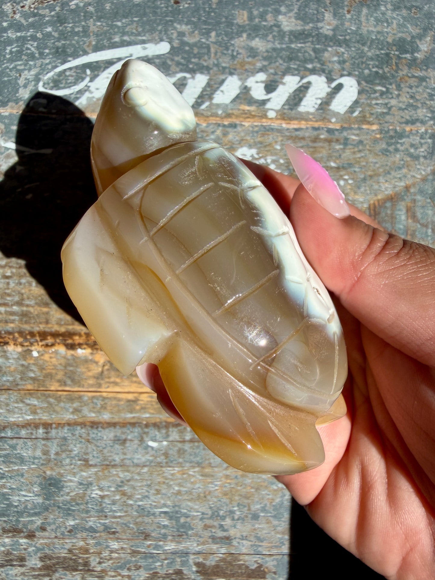 Gorgeous Orca Agate Turtle | Opt Z
