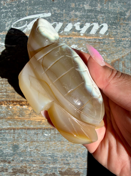 Gorgeous Orca Agate Turtle | Opt Z