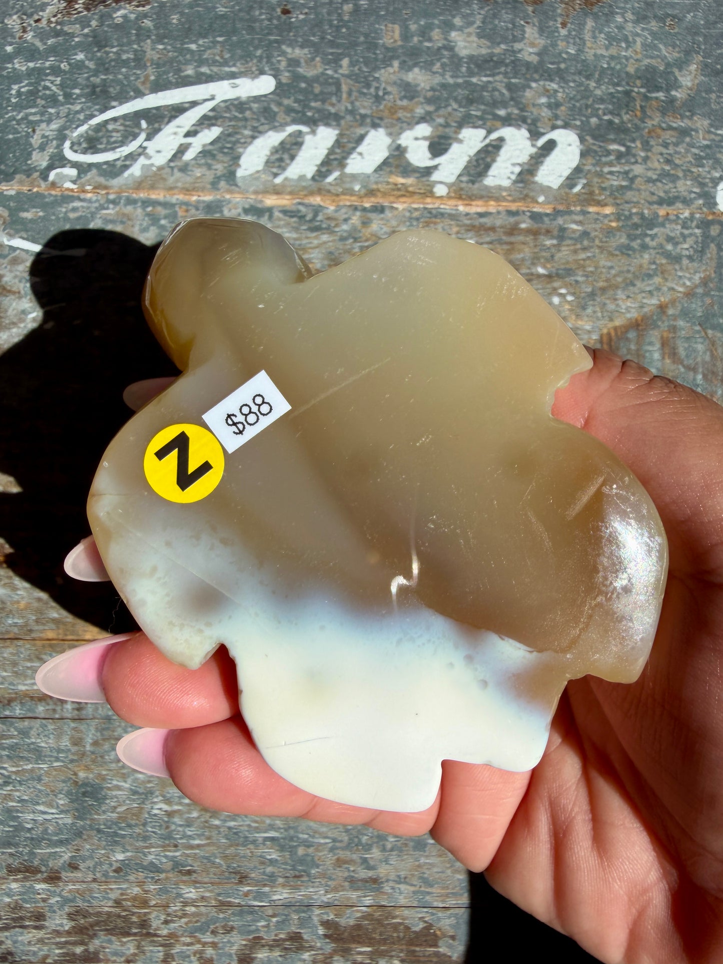 Gorgeous Orca Agate Turtle | Opt Z