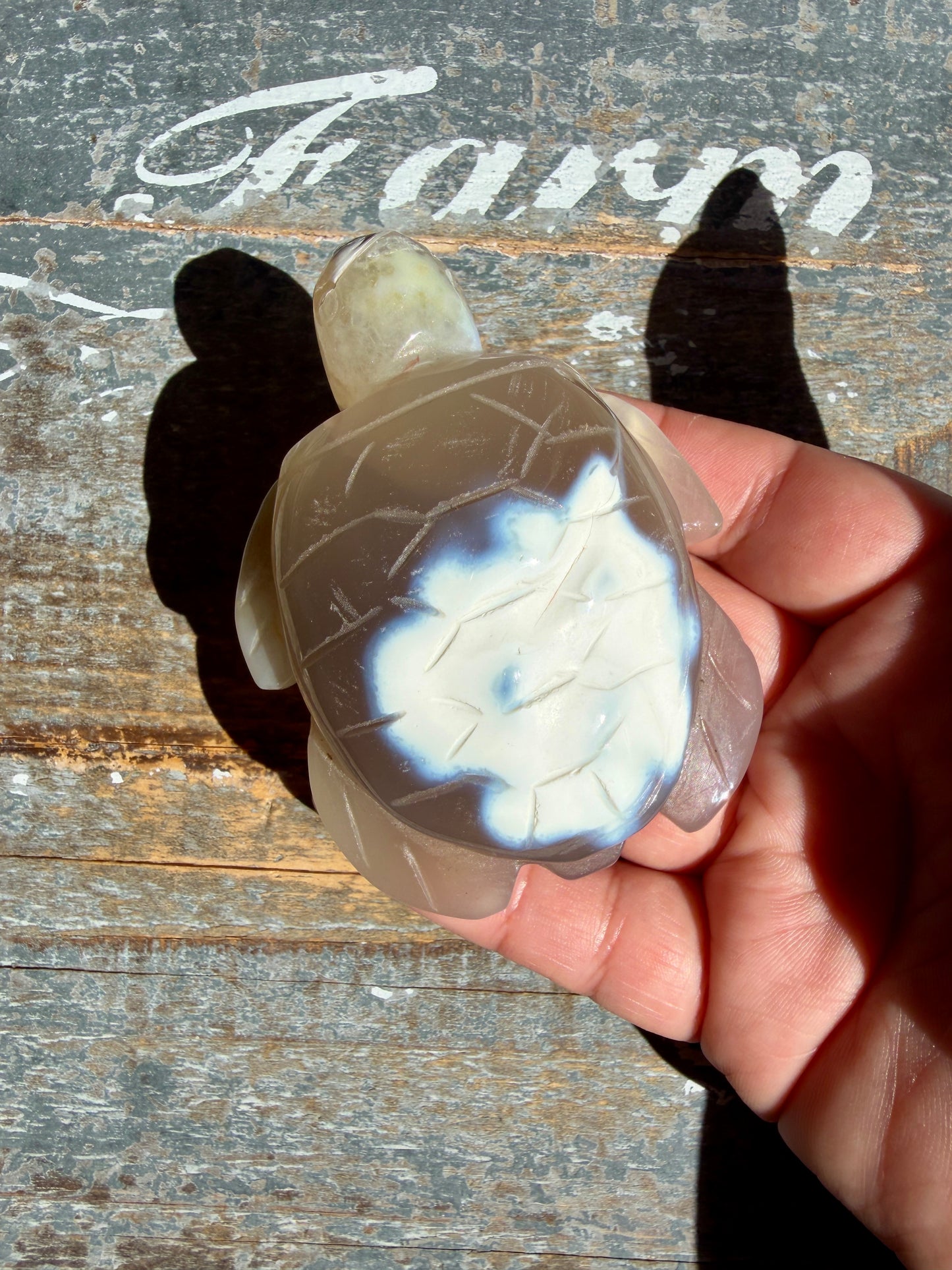 Gorgeous Orca Agate Turtle | Opt T