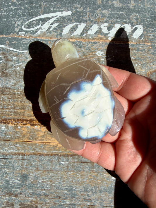 Gorgeous Orca Agate Turtle | Opt T
