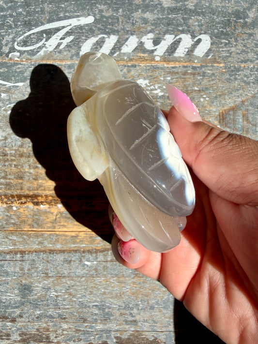 Gorgeous Orca Agate Turtle | Opt T