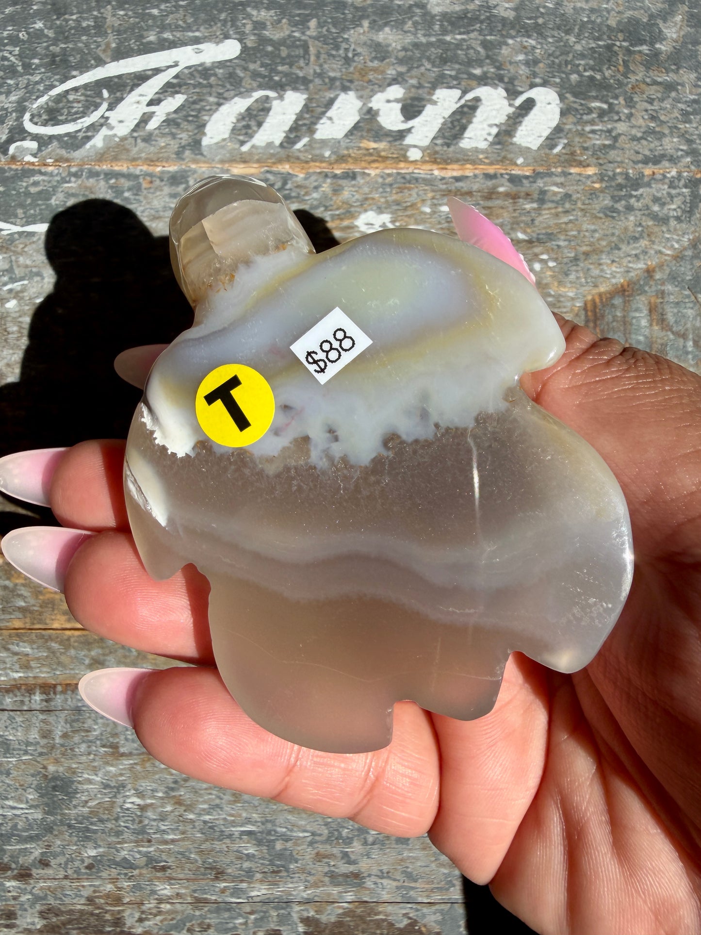 Gorgeous Orca Agate Turtle | Opt T