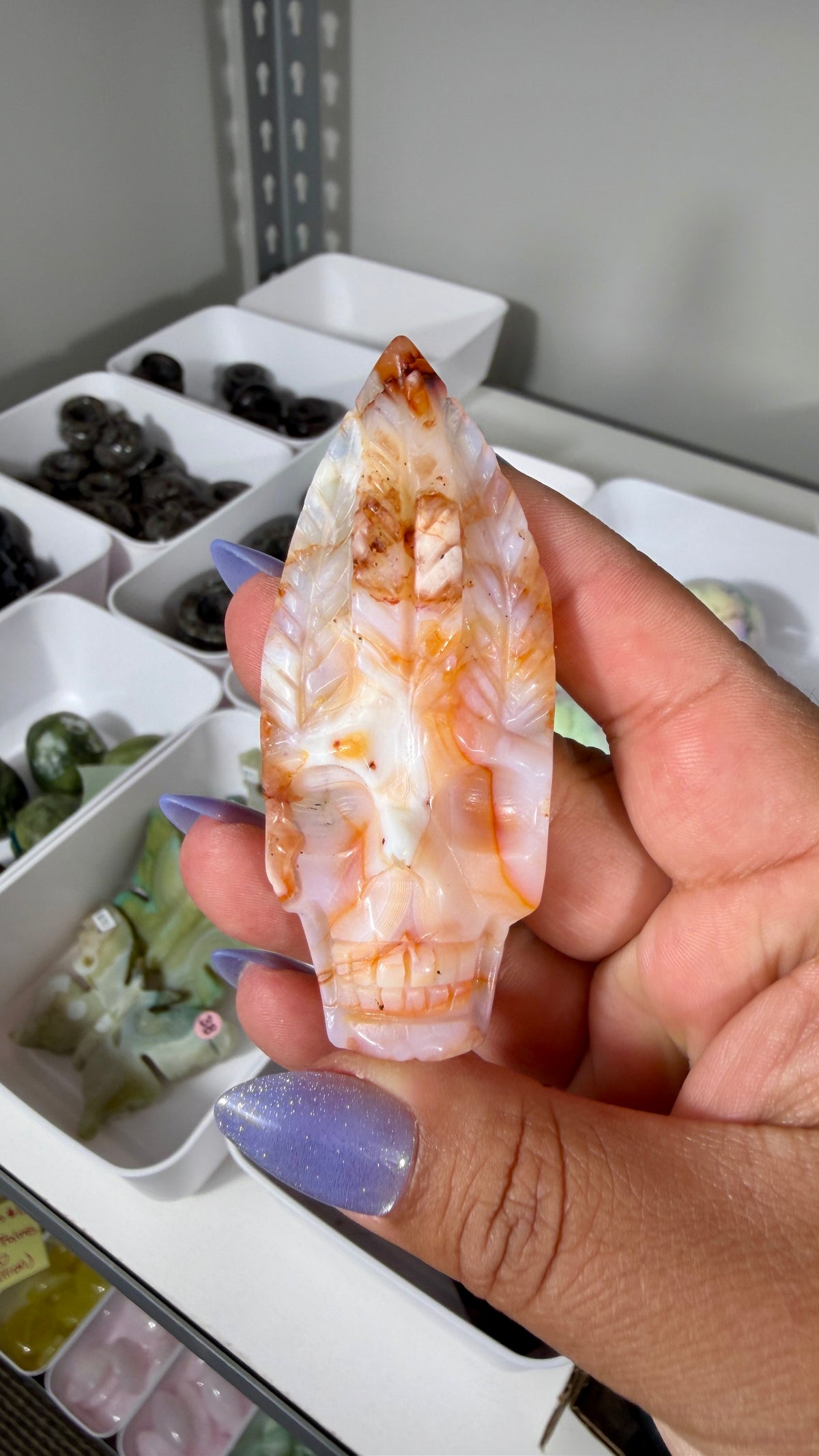 Carnelian Feather Skull | Madagascar | Opt 59