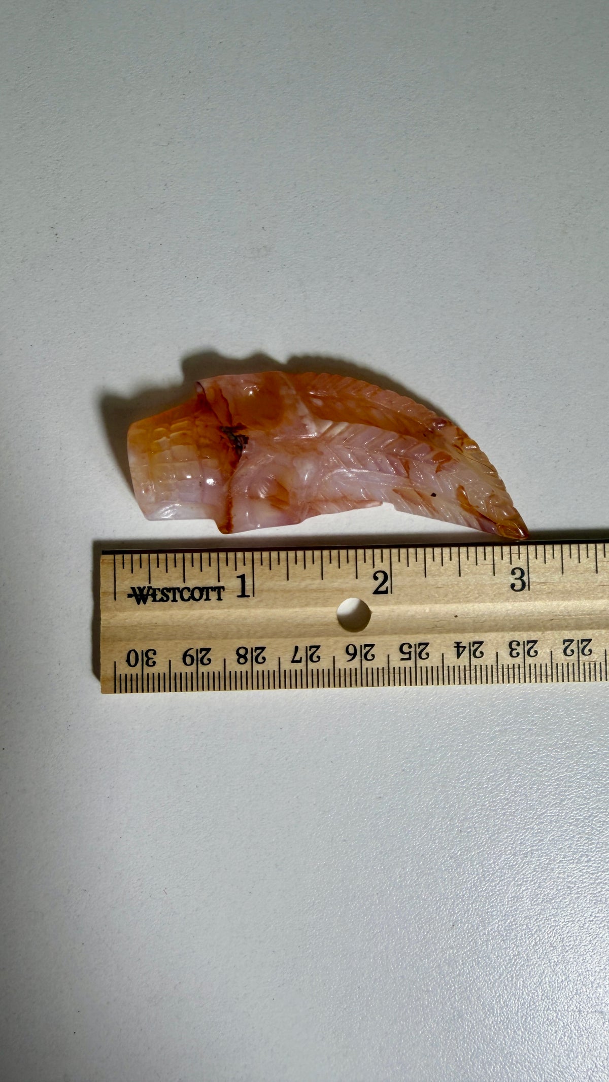 Carnelian Feather Skull | Madagascar | Opt 66