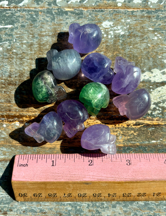 One (1) Mini Fluorite Skull | Intuitively Chosen