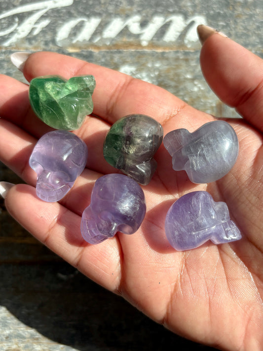 One (1) Mini Fluorite Skull | Intuitively Chosen
