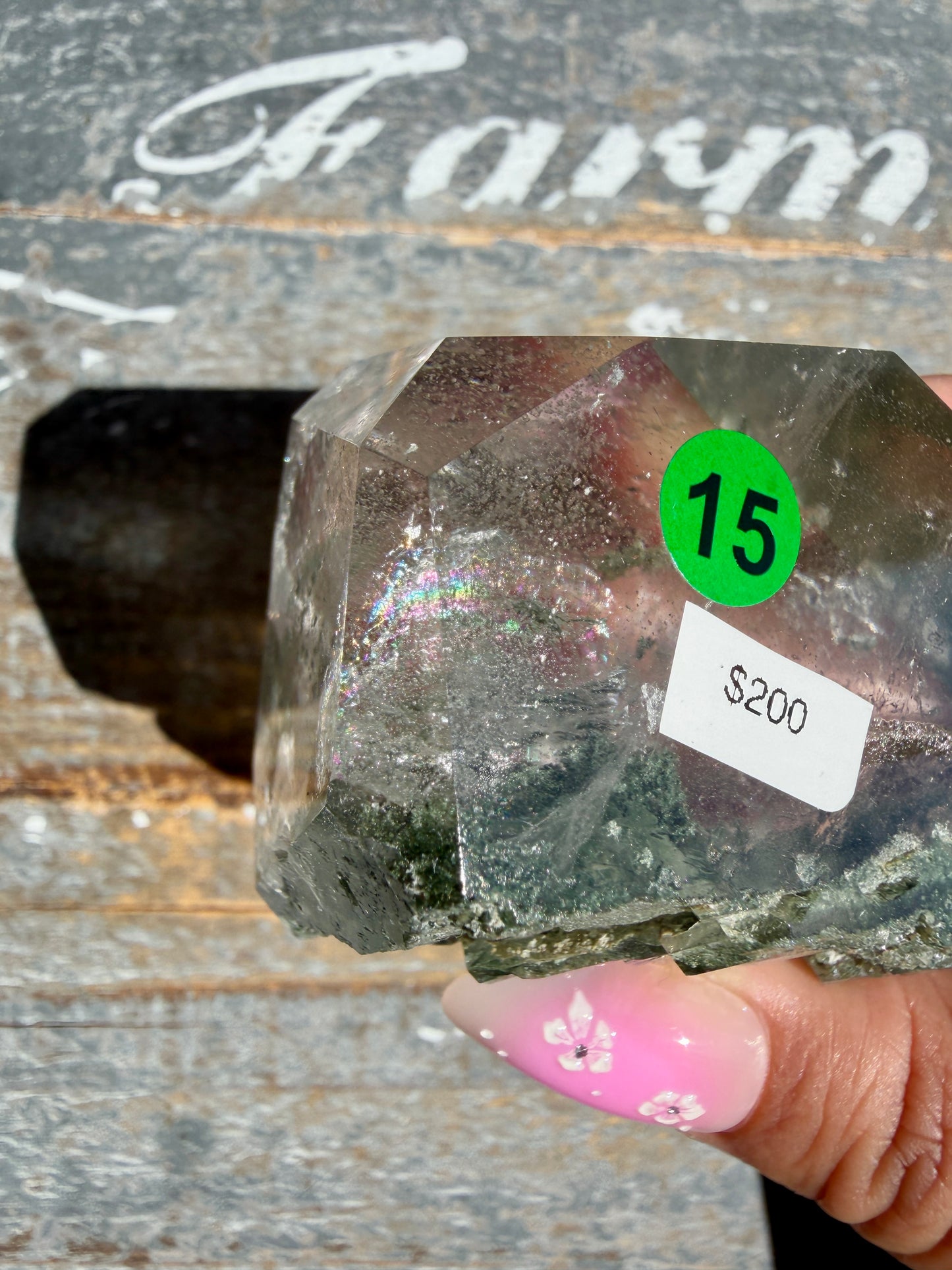 Gorgeous Himalayan Quartz with Chlorite | India | Opt 15 (VIDEO)
