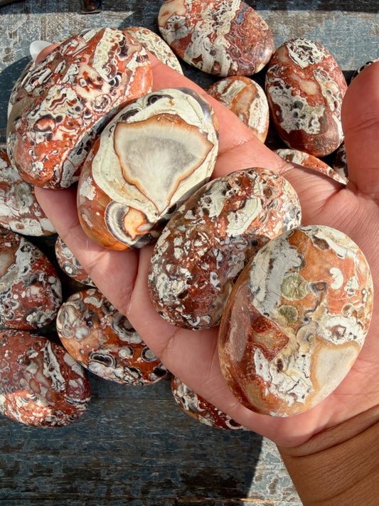 One (1) Money Agate Palmstone | Intuitively Chosen