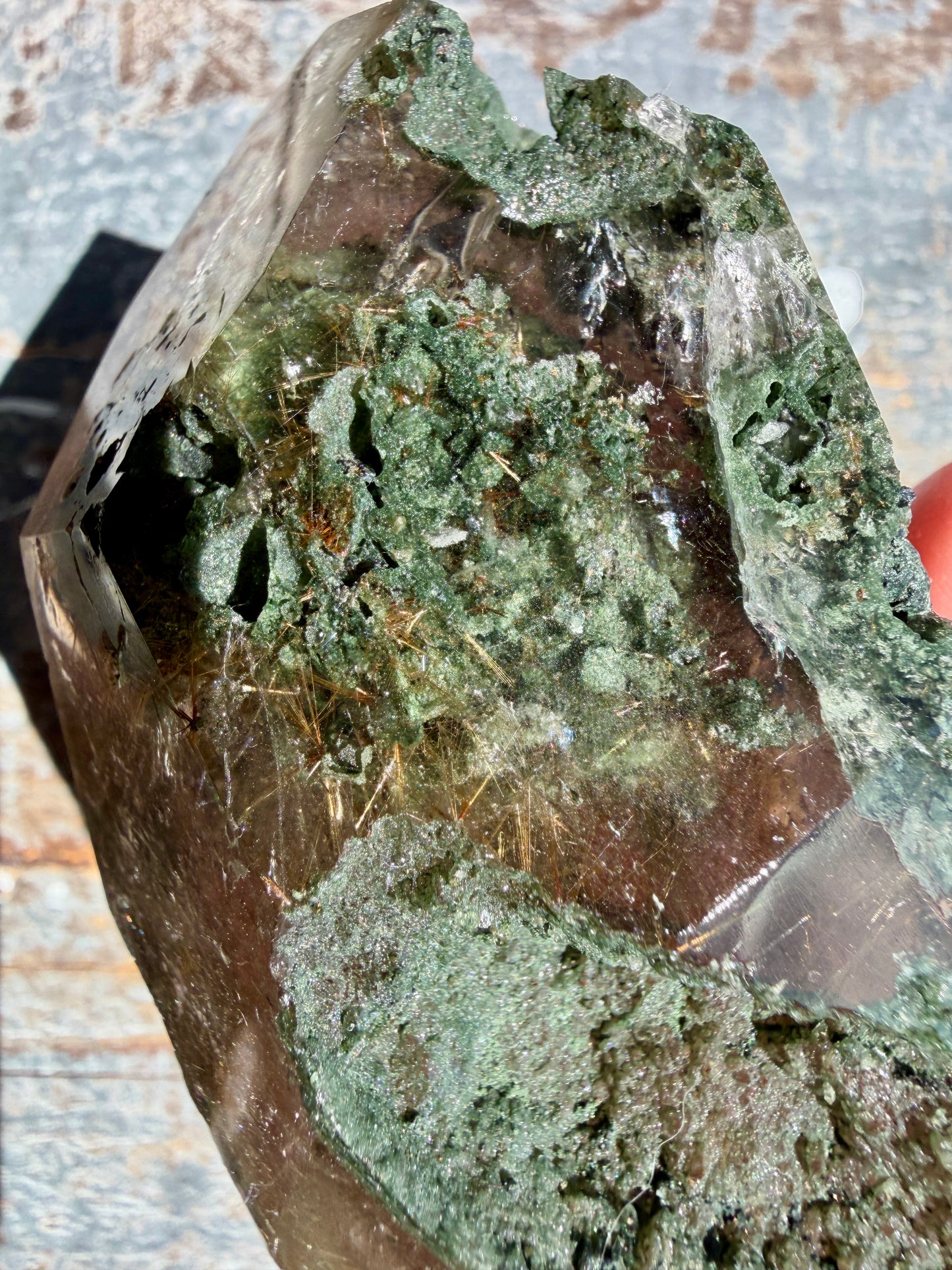 Gorgeous Himalayan Quartz with Chlorite & Rutile | India | Opt 4