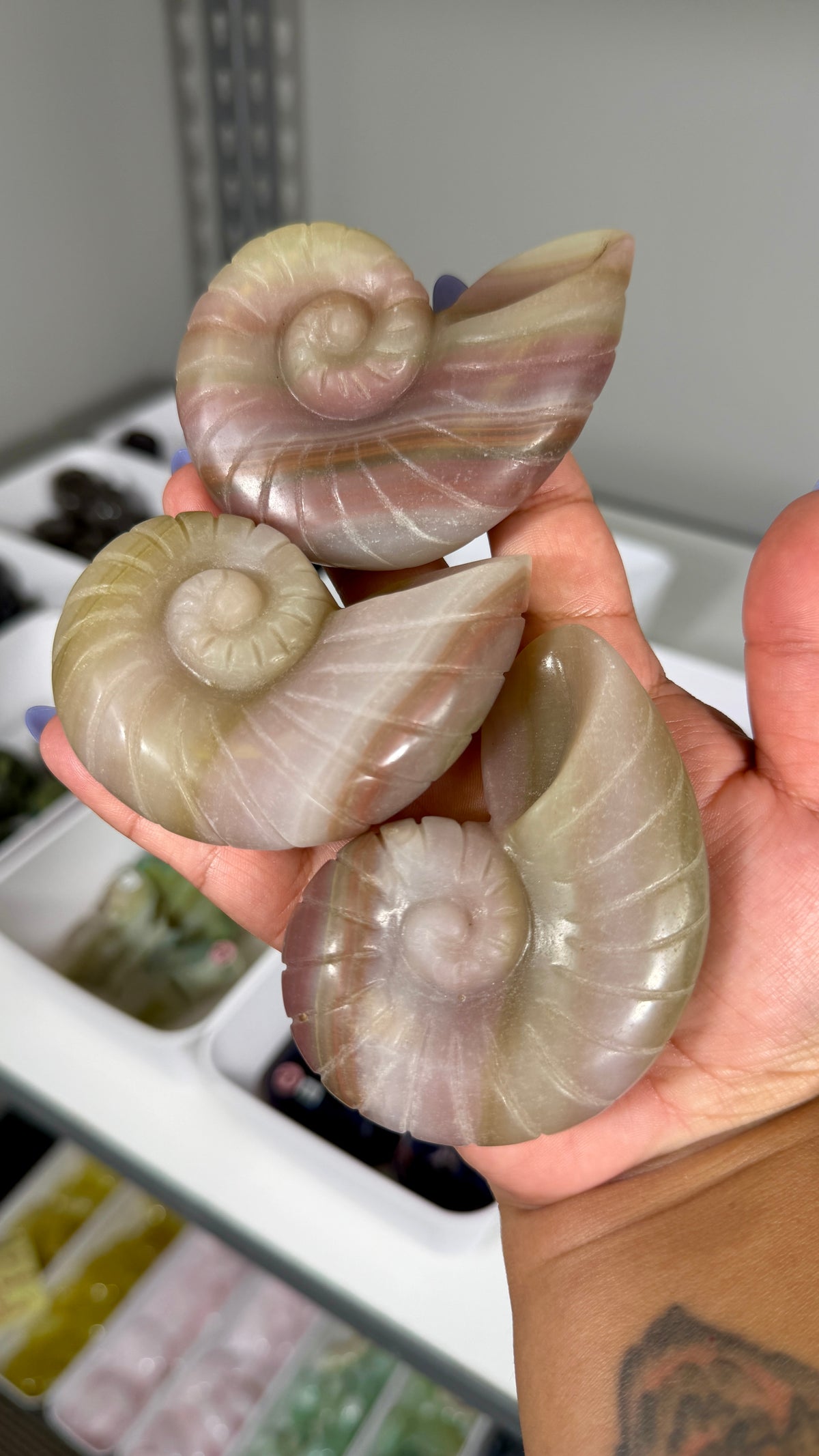 One (1) Banded Calcite Ammonite Shell Carving | Intuitively Chosen