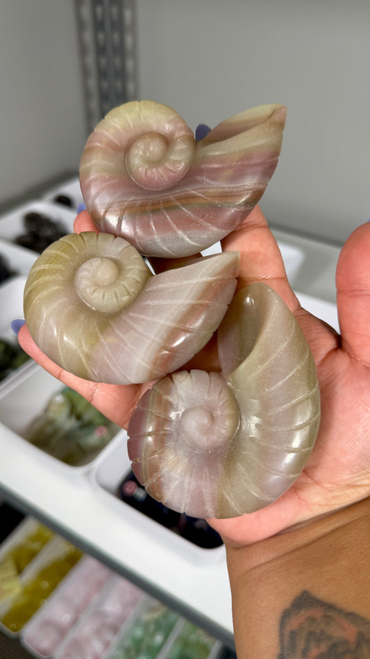 One (1) Banded Calcite Ammonite Shell Carving | Intuitively Chosen