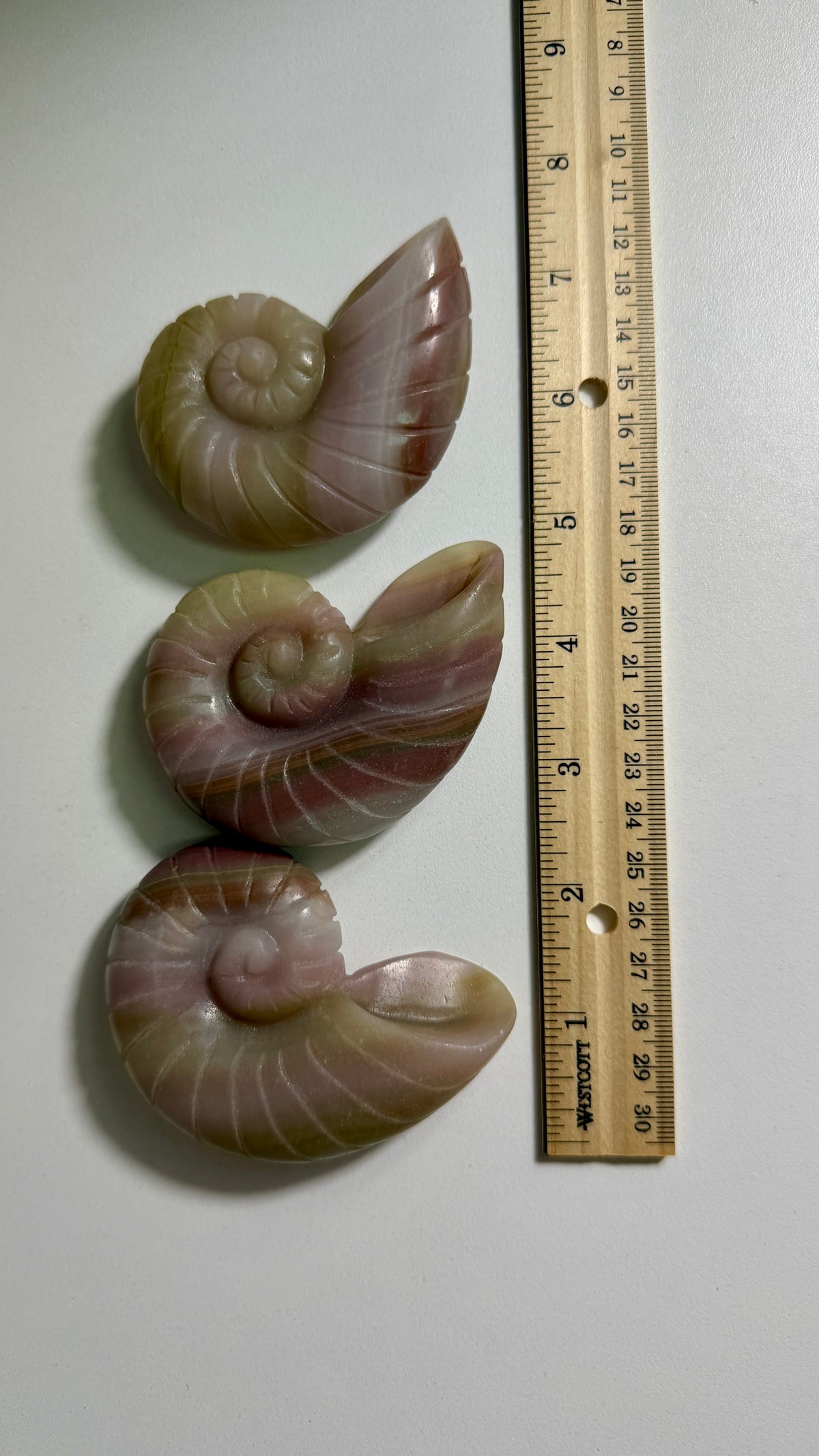 One (1) Banded Calcite Ammonite Shell Carving | Intuitively Chosen