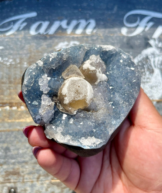 Gorgeous Botryoidal Fluorite on Blue Chalcedony Geode from India