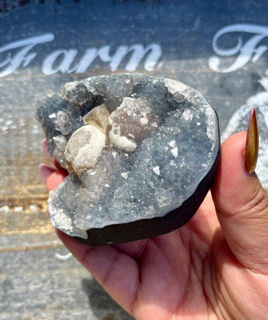 Gorgeous Botryoidal Fluorite on Blue Chalcedony Geode from India