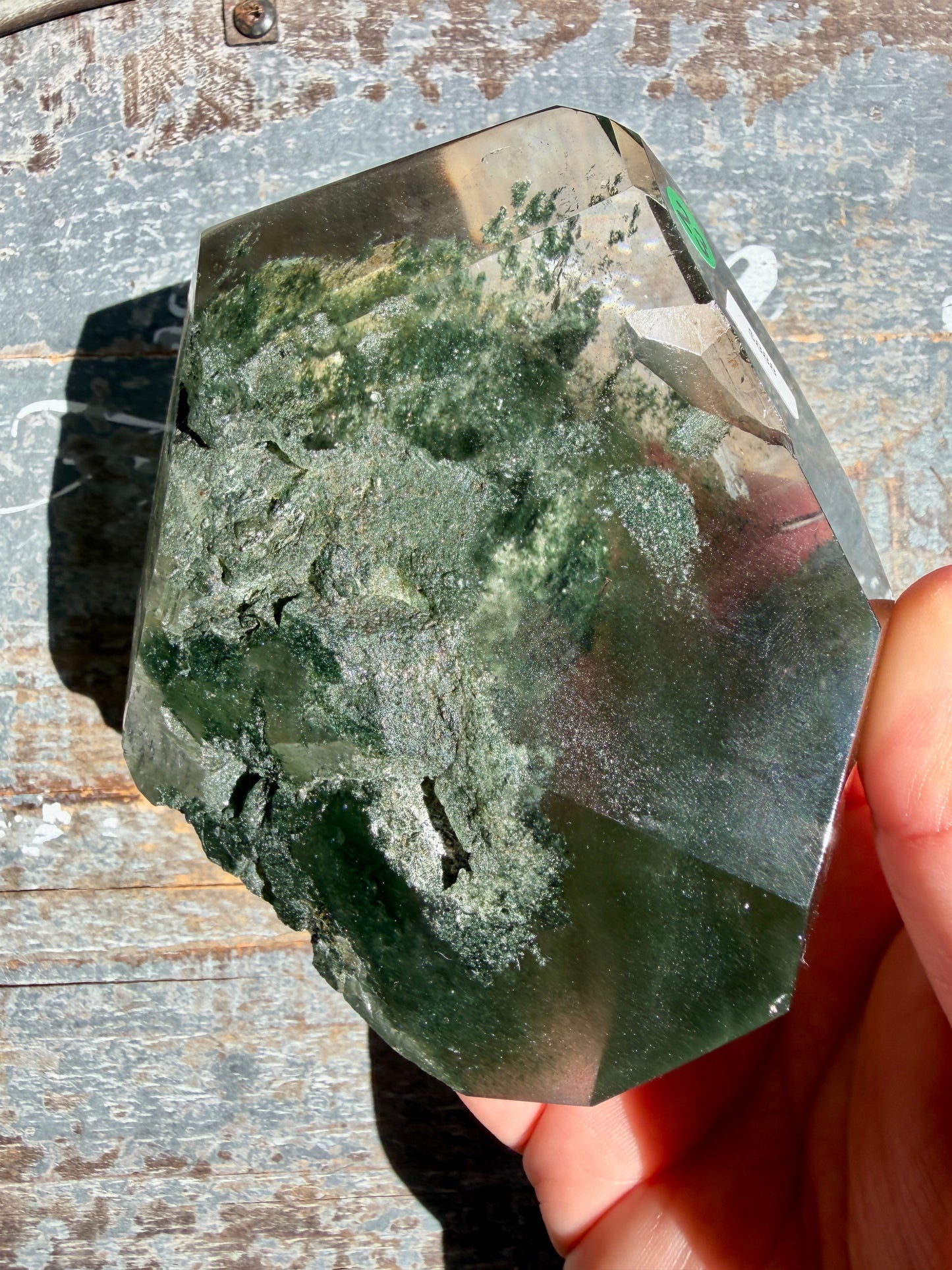 Gorgeous Himalayan Quartz with Chlorite | India | Opt 23 (VIDEO)