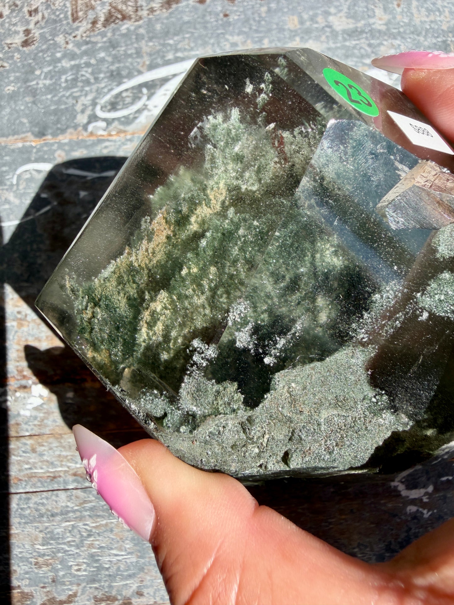 Gorgeous Himalayan Quartz with Chlorite | India | Opt 23 (VIDEO)