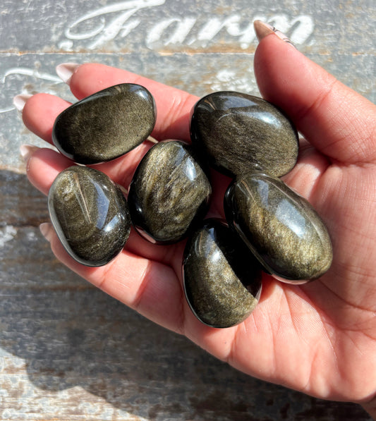 One (1) Gorgeous Gold Sheen Obsidian Tumble | Mexico | Denver Gem Show Find