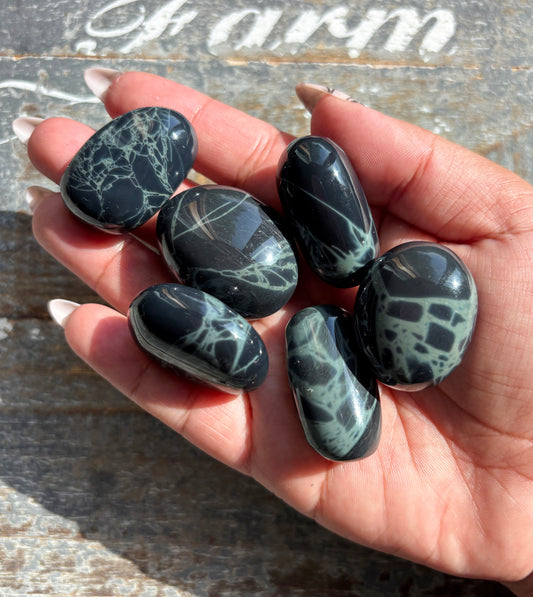 One (1) Gorgeous Spiderweb Obsidian Tumble | Mexico | Denver Gem Show Find